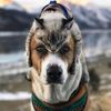 beerbetbo