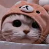 77lion_4yo9