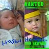 .haikal.hasbi