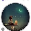 naseem.naseem342