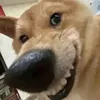 vizaux.uzh