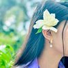 puja558800