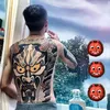 .phaohoakhongcoc