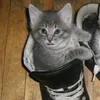 lalala_lalalo