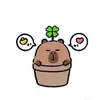 _quiin.qwpr_