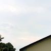 putramahkota334