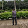 adrianmiftahulrizky