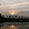 wongpesisir23