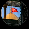 shahzadijan4499