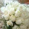 user4432443112942