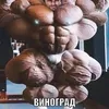 0_rar_9