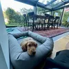 oscar_privata