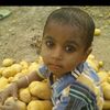 sandeep.kumar1662