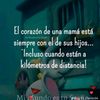 user27108282525luz