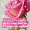 user812179099746