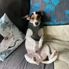 olliemillzzy
