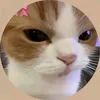 hana_mitrovic
