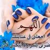 user3677046822495