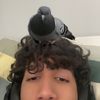 badface_casta