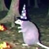 a_opossum_