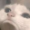 notme_anymore__