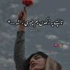 user1958251713531