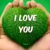 user2162597778383