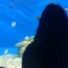 secretlanghuheha