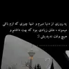 taha_629