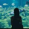 syirah_01