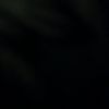 ali.ahamed284