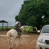 amadobatista.com