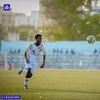 qadarinho_17