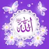 user4057069555415