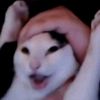 oleleolala_tralalelo