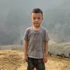 userplawvdhiavimkoj