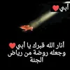 loloqq37