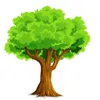 tree0917431