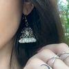 blossom_here_1