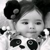 pelcem.23