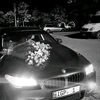 bmw16.com