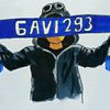 .gavi293