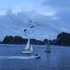 vivudihalongbay22