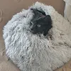 leoxchoco