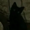 grelka_masturbator