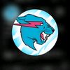 mrbeast81231