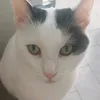 enorabab