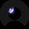 norelis852
