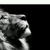 abdousghir926