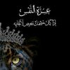 user607460701758055